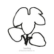 Line drawing of a delphinium seedling showing two rounded lower cotyledon leaves and one deeply lobed upper true leaf, labelled "Seedling" beneath.