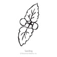Black line drawing of a Anise Hyssop seedling with leaves on a white background, featuring the brand 'Botanical Interests, Inc'.
