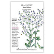 Seed packet for heirloom Steel Blue Sea Holly, illustrated with tall branching stems topped by spiky steel-blue flower cones and star-shaped foliage, with bees visiting the blooms; text notes it's a full-sun perennial growing 24–48 inches tall, blooming summer to frost.