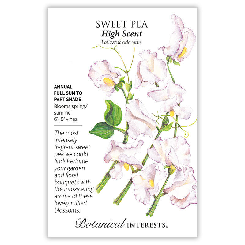Seed packet for High Scent sweet pea illustrating ruffled pale pink and cream blossoms with yellow throats on climbing vines with tendrils and green leaves, alongside text noting it's a fragrant annual for full sun to part shade, blooming spring through summer on 6 to 8 foot vines.