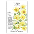 Botanical Interests seed packet for Xanthos Cosmos, illustrated with lime-yellow, white-edged blooms and feathery foliage visited by a bee, alongside text noting it's a full-sun annual growing 20–25 inches tall that blooms summer to frost.