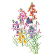 Botanical illustration of Fairy Bouquet linaria showing slender snapdragon-like spikes in pink, red, purple, yellow and white on wiry green stems, with a blue-and-orange butterfly resting among the blooms.