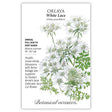 Seed packet for White Lace Orlaya featuring an illustration of lacy, snow-white flower clusters atop ferny green foliage, with text noting it's an annual for full sun to part shade, blooming summer at 18–30 inches tall, resembling Queen Anne's lace.