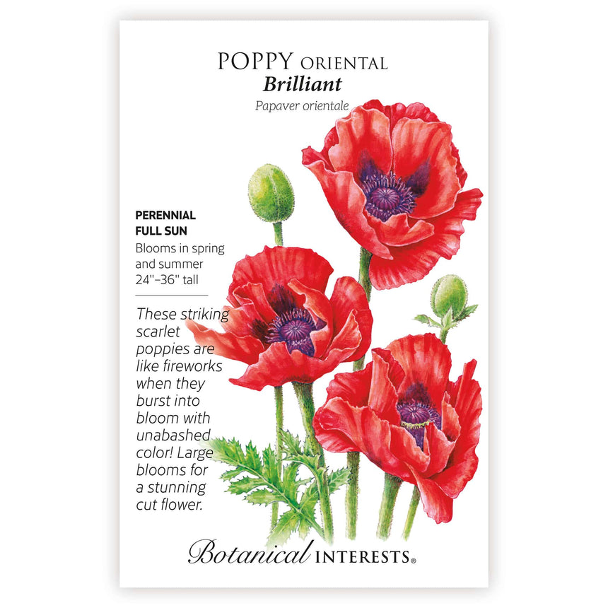 Botanical Interests seed packet for Brilliant Oriental Poppy, illustrated with scarlet, dark-centered blooms and buds on green stems, plus text noting it's a perennial for full sun, blooming spring and summer at 24-36 inches tall.