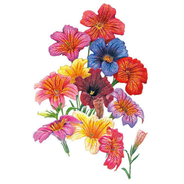 Botanical illustration of Superbissima Blend salpiglossis showing a cluster of trumpet-shaped flowers in red, blue, yellow, magenta, purple and burgundy, each veined with contrasting gold and darker throat markings, on slender green stems against a white background.