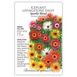 Seed packet for Sparkle Blend Iceplant Livingstone Daisy, illustrated with a cluster of daisy-like flowers in red, pink, yellow, orange, and white over succulent green foliage, with text noting it's an heirloom annual for full sun, blooming spring to fall at 4–8 inches tall.