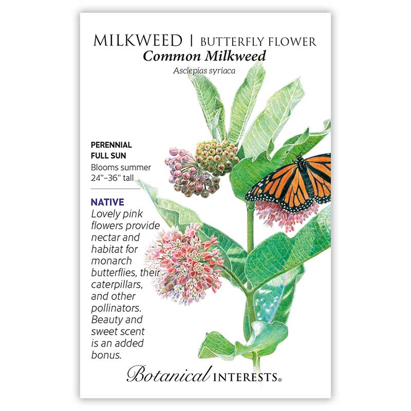 Botanical Interests seed packet for Common Milkweed showing an illustration of pink flower clusters, seed pods, broad green leaves, and a monarch butterfly feeding, with text noting it's a native perennial for full sun, blooming summer at 24–36 inches tall.