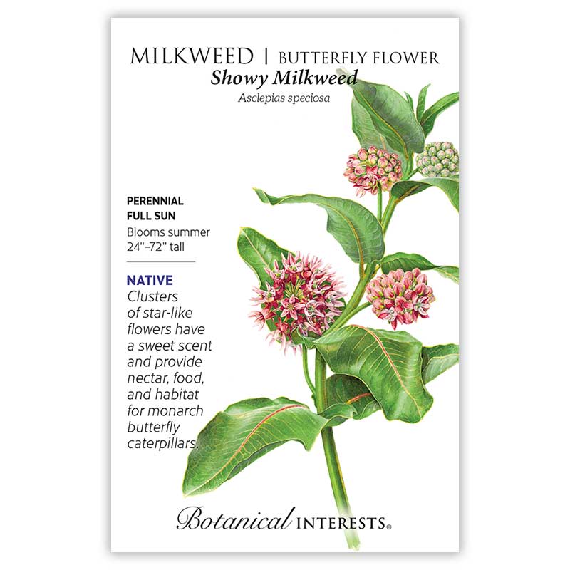 Botanical Interests seed packet for Showy Milkweed, illustrated with star-like pink flower clusters and broad green leaves, labelled perennial, full sun, blooming summer at 24–72 inches tall, with native plant text noting nectar and habitat value for monarch butterfly caterpillars.