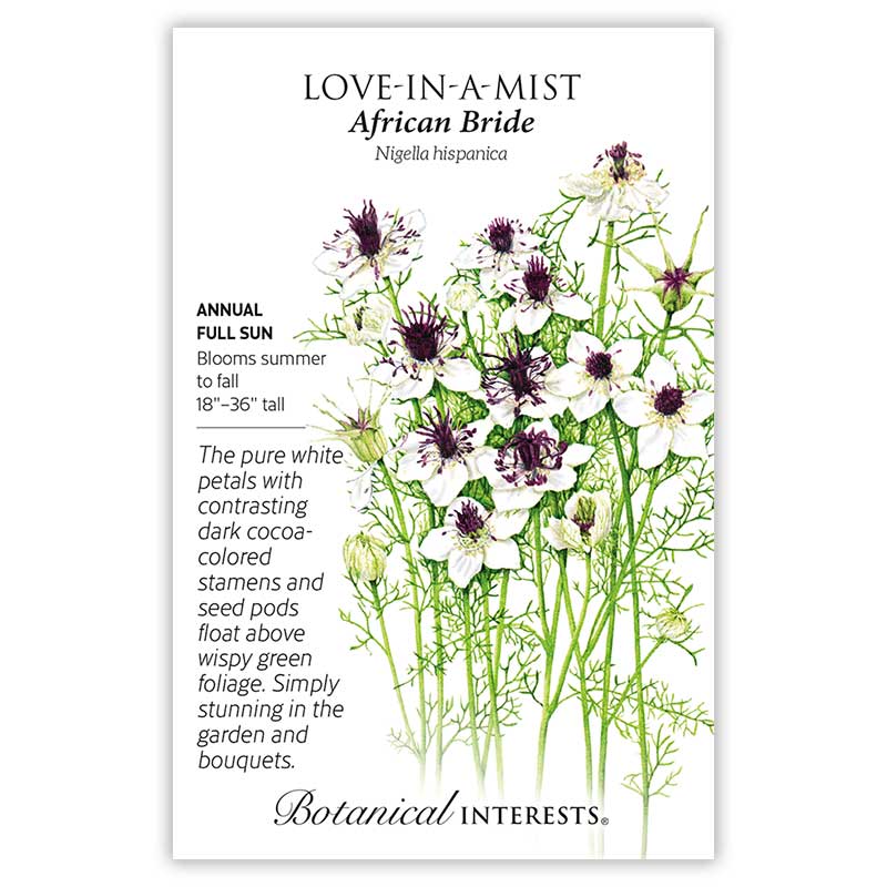 Botanical Interests seed packet for African Bride Love-in-a-Mist (Nigella hispanica), illustrated with white flowers featuring dark cocoa-purple stamens atop feathery green foliage, alongside text noting it's a full-sun annual blooming summer to fall, 18–36 inches tall.