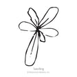 Simple black-and-white line drawing of a young seedling with six elongated petal-like leaves radiating from a central point, labeled "Seedling" beneath.