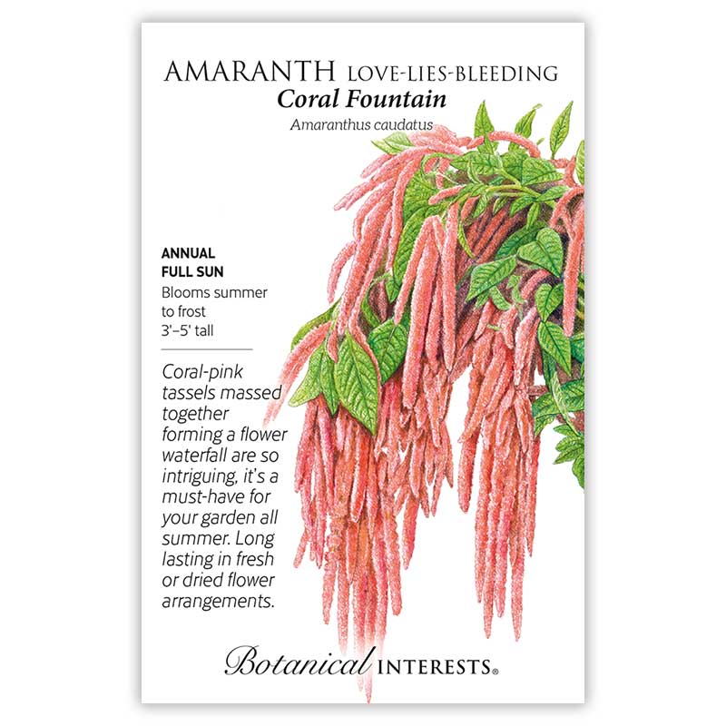 Seed packet for Amaranth "Coral Fountain" (Love-Lies-Bleeding) featuring an illustration of long, drooping coral-pink tasseled flowers amid green leaves, with text noting it's a full-sun annual growing 3'-5' tall and blooming summer to frost.