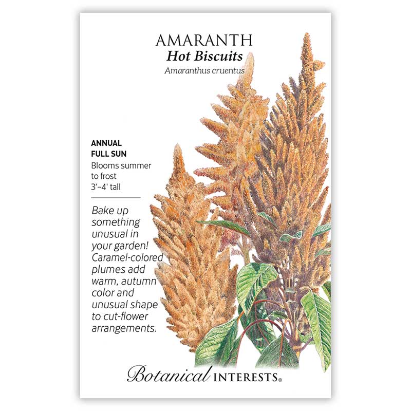 Seed packet for Hot Biscuits Amaranth featuring an illustration of tall, feathery caramel-colored plumes above green leaves, with text noting it's a full-sun annual reaching 3'-4' tall and blooming summer to frost.