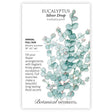 Seed packet for Eucalyptus Silver Drop Seeds with growing information, plant description, and a botanical illustration of leafy silver drop eucalyptus stems.