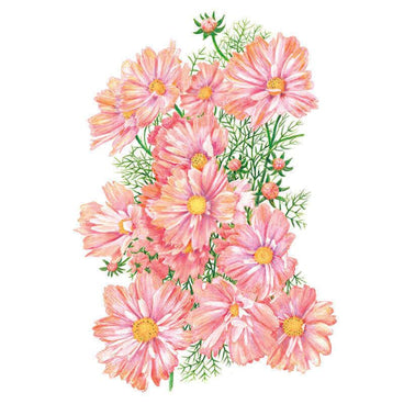Botanical illustration of Apricotta cosmos showing a cluster of open peachy-pink daisy-like blooms with yellow centres, unopened buds, and delicate feathery green foliage against a white background.