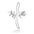 Simple black-and-white line illustration of a young seedling, showing a slender central stem with two pairs of narrow feathery leaves branching outward, labeled "Seedling" beneath the drawing.