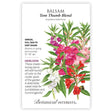 Front of a Botanical Interests "Balsam Tom Thumb Blend" seed packet displaying a botanical information and illustration of vibrant red, pink, and white flowers with green foliage on a white background.