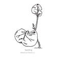 Black and white sketch of a Four o'Clock seedling with Botanical Interests branding.