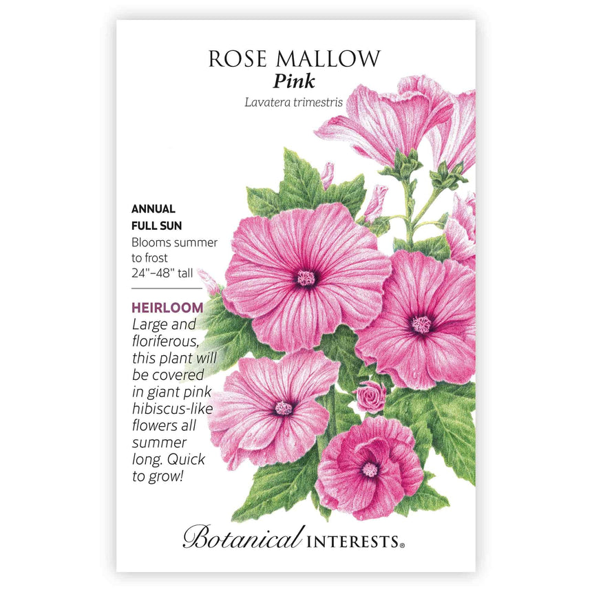 Front of a Botanical Interests "Rose Mallow Pink" seed packet displaying a botanical information and illustration of bright pink hibiscus-like flowers on a white background.