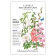 Seed packet for Botanical Interests Rosy Cheek to Cheek Clarkia with illustration and growing information.