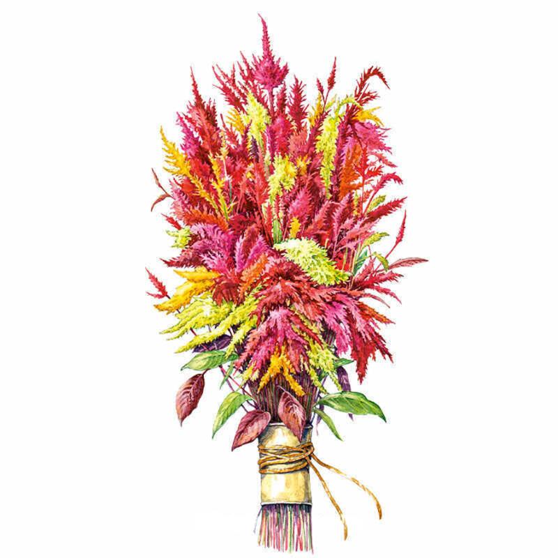 Illustrated bundle of feathery Celosia plumes in shades of crimson, magenta, yellow-green and orange, tied with twine at the stem, shown against a plain white background.