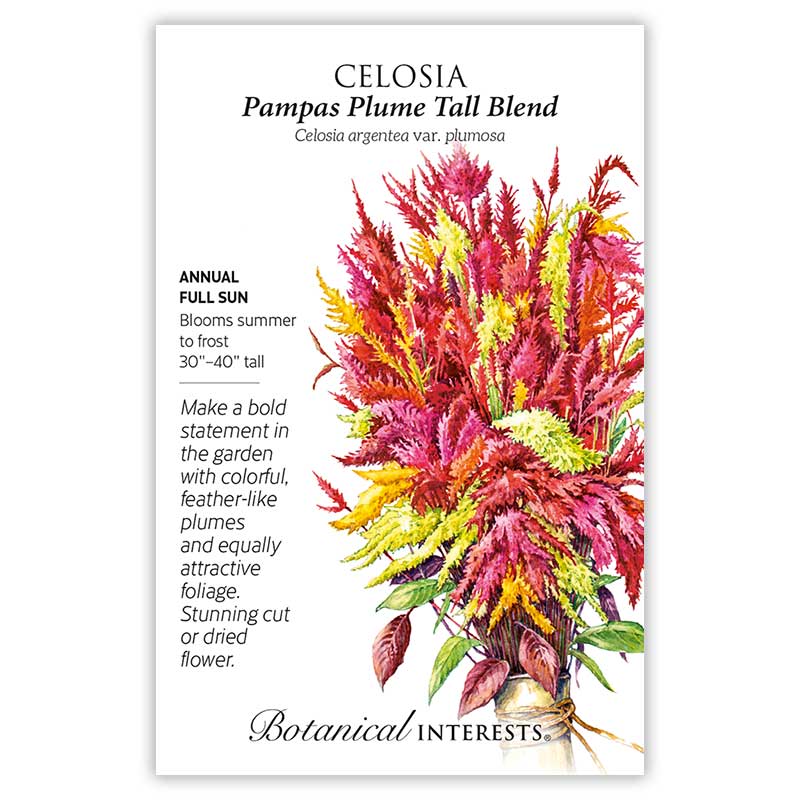 Seed packet for Celosia Pampas Plume Tall Blend, illustrated with a bouquet of feathery plumed flowers in red, pink, orange, and yellow tied at the stems, with text noting it's a full-sun annual growing 30–40 inches tall that blooms summer to frost and suits cut or dried arrangements.