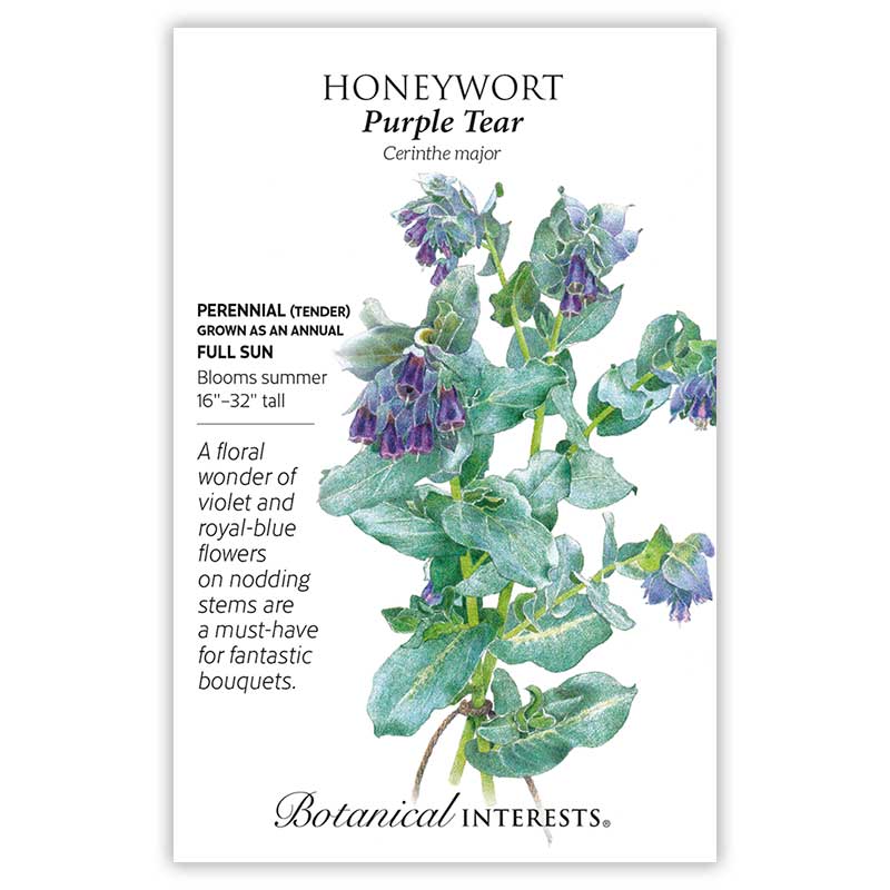 Seed packet for Purple Tear Honeywort (Cerinthe major) illustrating blue-green foliage with nodding tubular flowers in violet and royal blue, alongside text noting it's a tender perennial grown as an annual, full sun, blooming summer at 16–32 inches tall.
