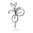 Botanical illustration of multicolored Charmer Blend flax blooms on a white background.