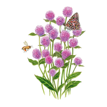 Illustration of a lush cluster of lavender-pink Lavender Lady gomphrena blooms with green leaves, accompanied by a flying honeybee and a checkspot butterfly resting on a flower top
