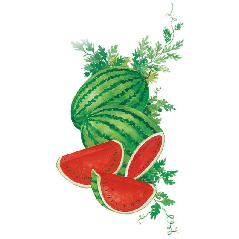 Illustration of two whole striped green watermelons with trailing vine leaves, alongside three cut wedges revealing red, seeded flesh with a white-green rind.