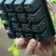 A hand holds a black 16-cell seed starting tray from underneath, showing dense root systems threading through the drainage holes with seedling stems visible above.