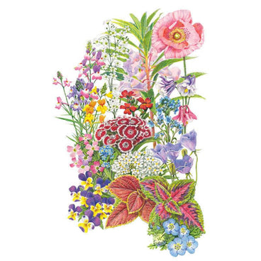 Botanical illustration of a colorful mix of shade-tolerant flowers and foliage, including pink and purple columbine, yellow candytuft, red balsam, blue forget-me-nots, and variegated coleus, for Made in the Shade Flower Mix Seeds.