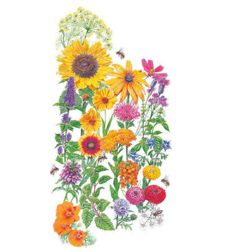 Botanical illustration of a colorful collection of bee-friendly flowers and herbs, including sunflowers, black-eyed susans, zinnias, poppies, and borage, for Save the Bees Flower Mix Seeds.
