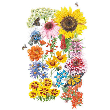 Botanical illustration of a colorful mix of pollinator-attracting flowers and herbs, including sunflowers, purple coneflowers, zinnias, milkweed, and borage, visited by butterflies and bees, for Precious Pollinators Flower Mix Seeds.