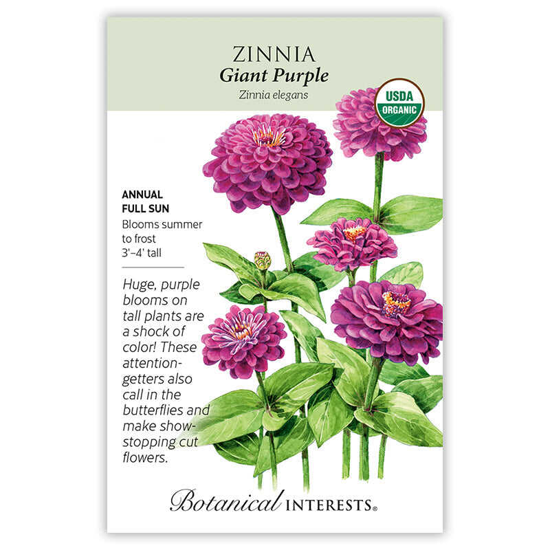 Seed packet for Giant Purple Zinnia showing an illustration of large fully double magenta-purple blooms on tall leafy stems, with a USDA Organic seal and text noting it's a full-sun annual growing 3 to 4 feet tall, blooming summer to frost, attracting butterflies and suited for cut flowers.