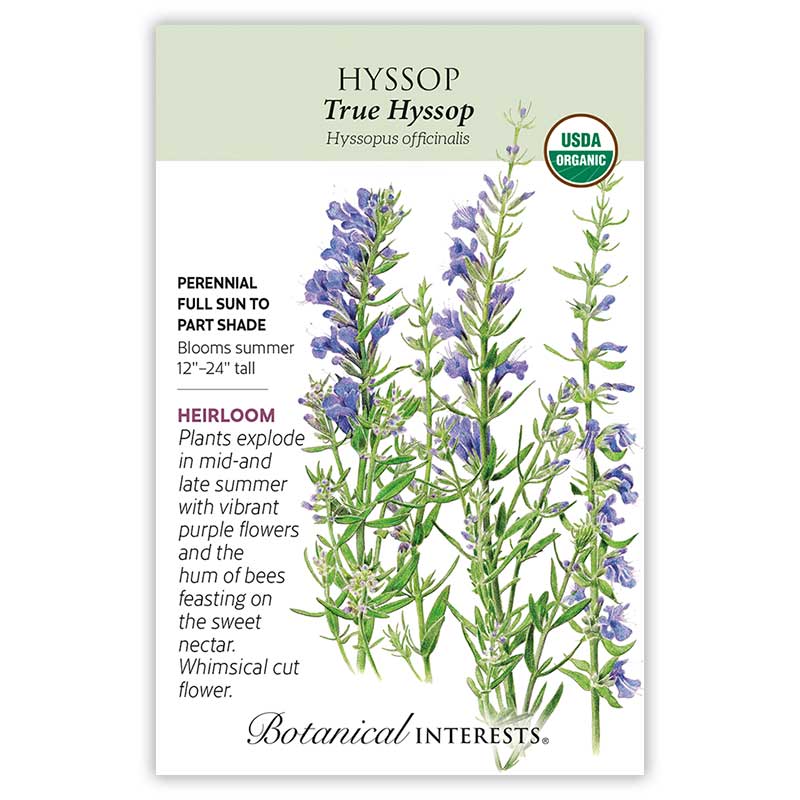 Seed packet for organic True Hyssop featuring a botanical illustration of tall spiky stems with purple-blue tubular flowers and narrow green leaves, alongside text noting it's a perennial for full sun to part shade, blooming summer at 12–24 inches tall.