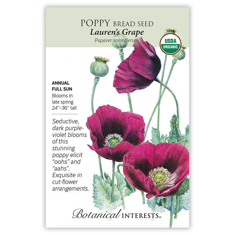 Seed packet for Lauren's Grape Bread Seed Poppy, illustrated with deep purple-violet, satiny blooms and rounded seed pods on curving stems, with text noting it's an organic annual for full sun, blooming late spring at 24 to 36 inches tall.
