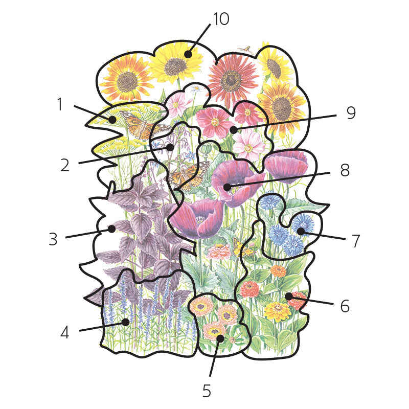 Illustrated diagram of a wildflower mix with irregular puzzle-piece sections numbered 1 to 10, each labelled line pointing to a different bloom type including sunflowers, cosmos, poppies, zinnias, marigolds, cornflowers and purple-leaved foliage, with a butterfly among the flowers.