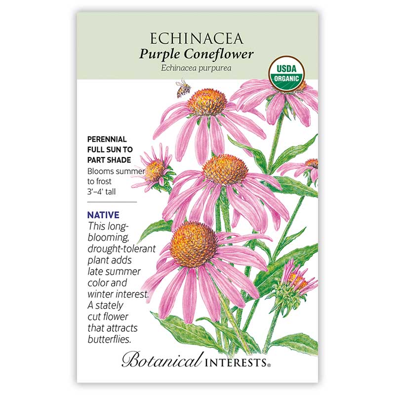 Botanical Interests organic Purple Coneflower seed packet illustrating pink-petaled echinacea blooms with orange spiny centers and a visiting bee, alongside text noting it's a native perennial for full sun to part shade, blooming summer to frost, 3'–4' tall, drought-tolerant and butterfly-attracting.