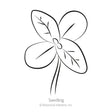 Line drawing of a young seedling with two rounded cotyledon leaves and one veined true leaf on a slender stem, labelled "Seedling" beneath.