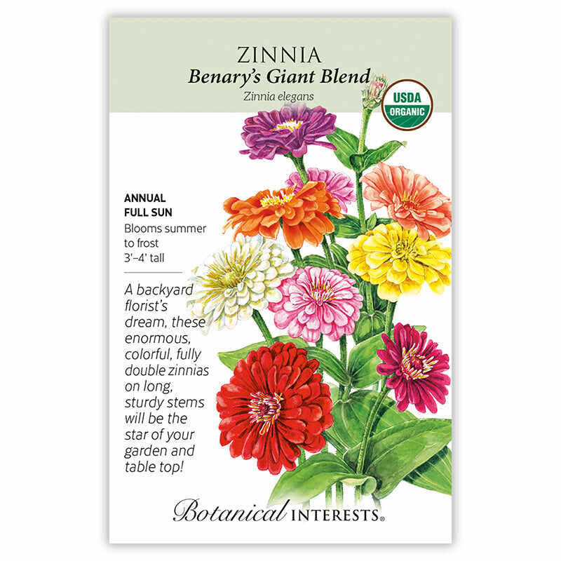Front of an organic Botanical Interests seed packet for Benary's Giant Blend Zinnia Seeds featuring a USDA Organic seal and botanical illustrations of vibrant zinnia flowers blooming in red, pink, orange, yellow, and white.