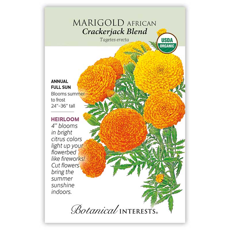 Intermountain Seed Bundle