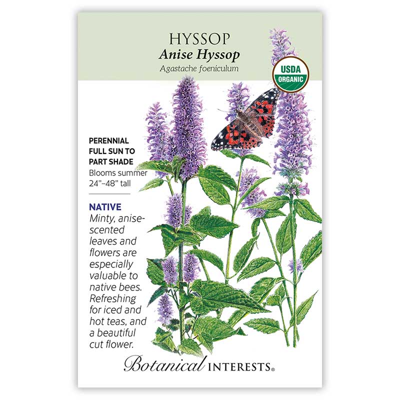 Front of an organic Botanical Interests seed packet for Anise Hyssop Seeds displaying a USDA Organic seal, native plant details, and a botanical illustration of green leaves, lavender flower spikes, and a butterfly.