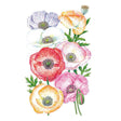 Botanical illustration of Mother of Pearl poppies showing seven papery blooms in soft lilac, white, peach, red, pink and apricot hues, each with dark stamens and a green seed pod, on ferny foliage against a white background.