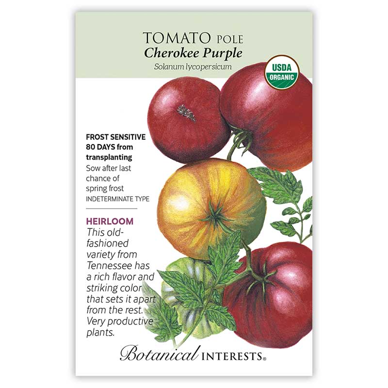 Seed packet for Cherokee Purple pole tomato, USDA Organic, illustrated with dusky reddish-purple and gold-blushed fruit on the vine with green leaves, plus text noting it's frost sensitive, indeterminate, 80 days from transplanting, and an heirloom variety from Tennessee.