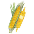 Illustration of two True Gold sweet corn cobs with plump golden kernels, one partly husked with green leaves and silky tassel, the other peeled with a pat of butter melting on top.