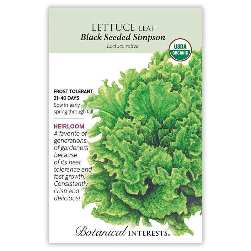 Botanical Interests seed packet for Black Seeded Simpson leaf lettuce, illustrated with a ruffled, frilly-edged green head, and text noting it's USDA organic, frost tolerant, ready in 21-40 days, and an heirloom variety prized for heat tolerance and crisp flavor.