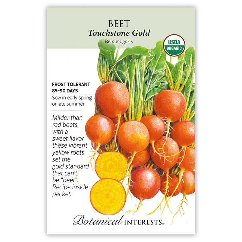 Seed packet for Touchstone Gold Beet featuring an illustration of orange-skinned beets with leafy green tops and two roots sliced open to reveal golden-yellow flesh, with text noting USDA Organic certification, frost tolerance, an 85-90 day maturity, and a mild, sweet flavor.