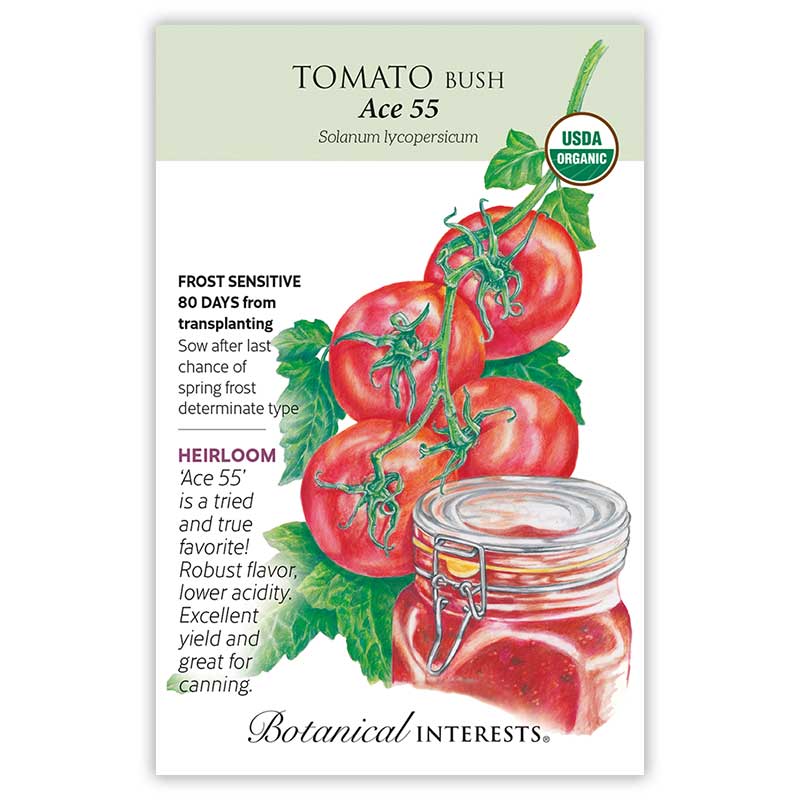 Seed packet for organic heirloom Ace 55 bush tomato, illustrated with a cluster of round red tomatoes on the vine beside a jar of canned tomato sauce, with text noting it's frost sensitive, matures in 80 days, and is a determinate variety prized for robust flavor and canning.