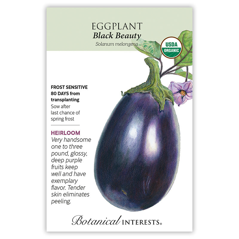 Eggplant seed packet labeled 'Black Beauty' with an illustration of an eggplant and botanical information on a white background.