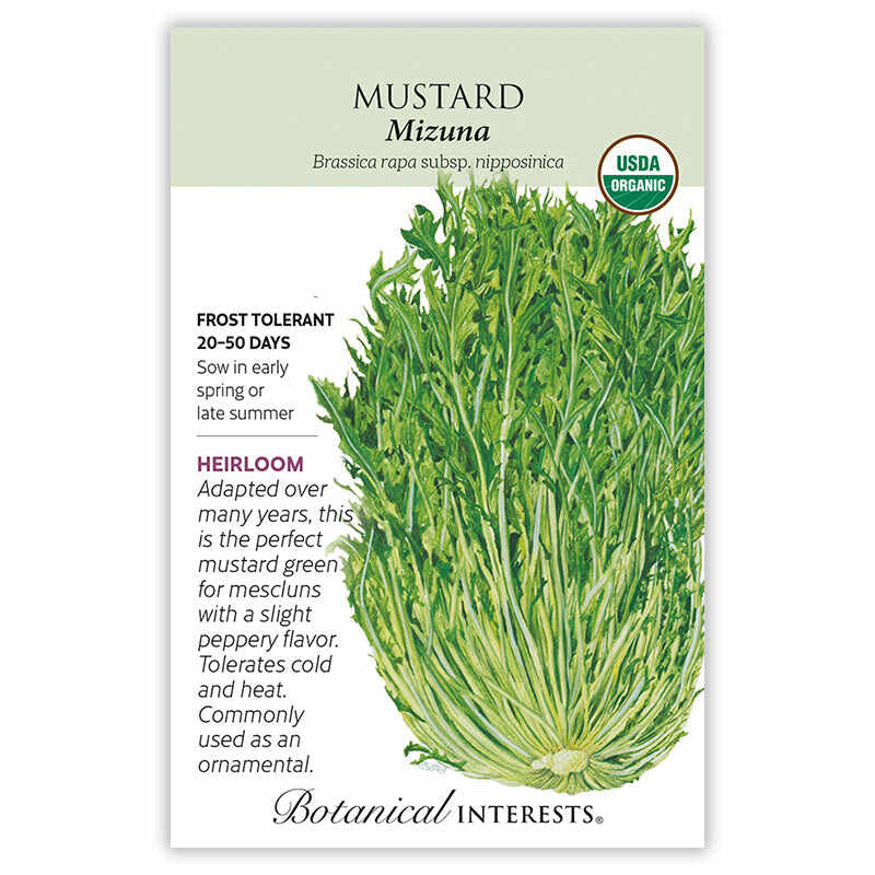 Seed packet for organic heirloom Mizuna Mustard featuring a botanical illustration of feathery, deeply lobed green leaves with pale stems, plus text noting frost tolerance, 20-50 day maturity, and a peppery mesclun-suited flavor.